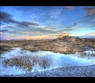 Iceland nature by Edith and Gerald Woodhouse